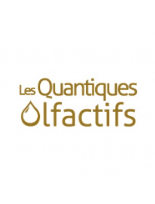 Les Quantiques Olfactifs